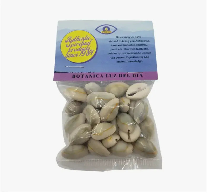 Cowrie shells
