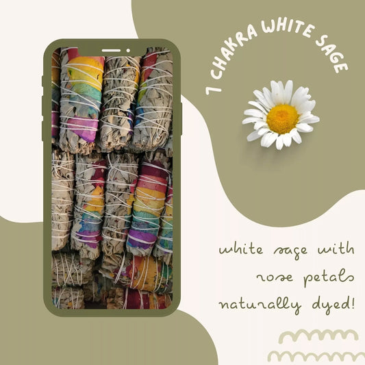 White Sage 7 Chakra White Sage Bundle - Godiva Oya Bey