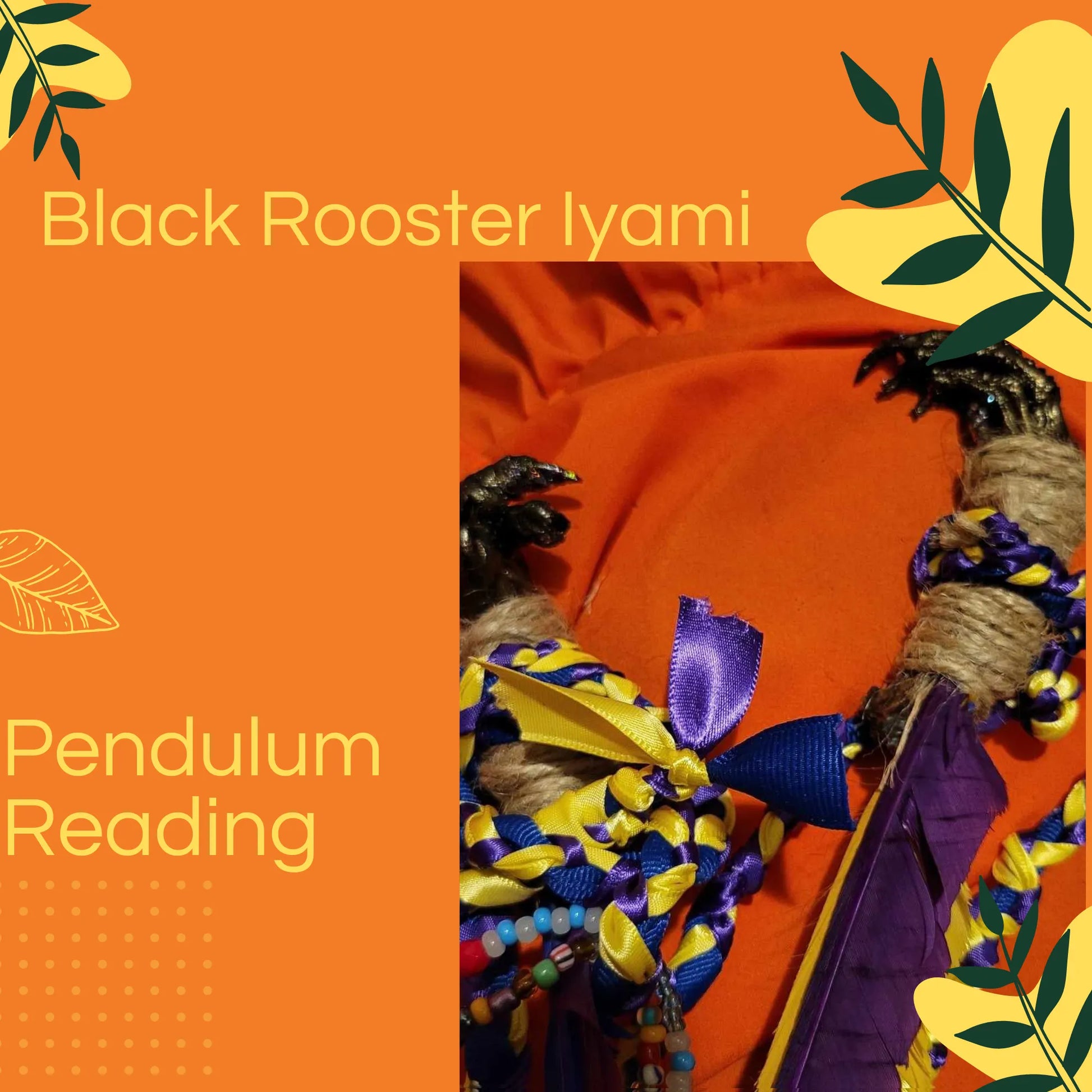 Black Rooster Iyami Pendulum Reading