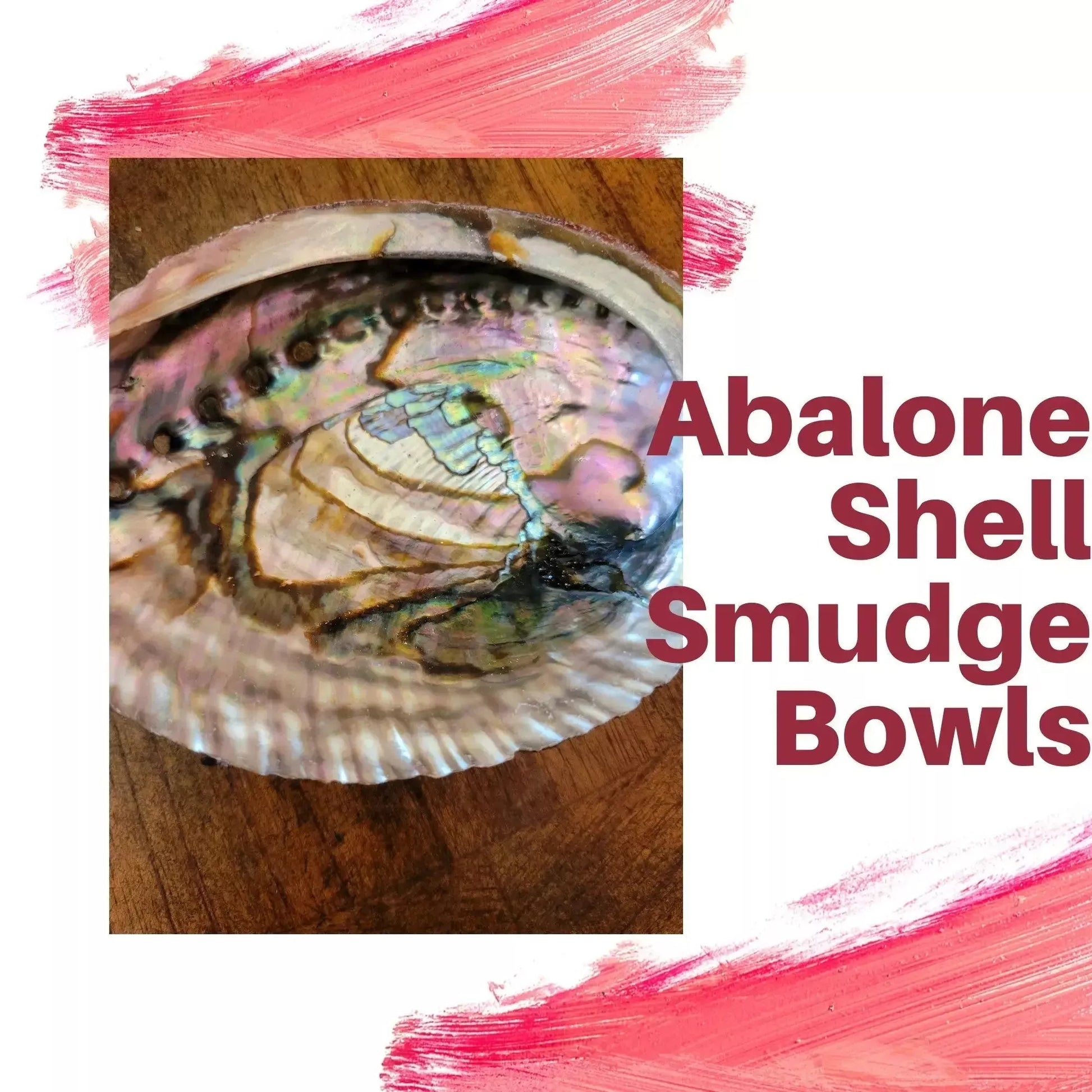 Abalone Shell Smudge Bowls - Godiva Oya Bey