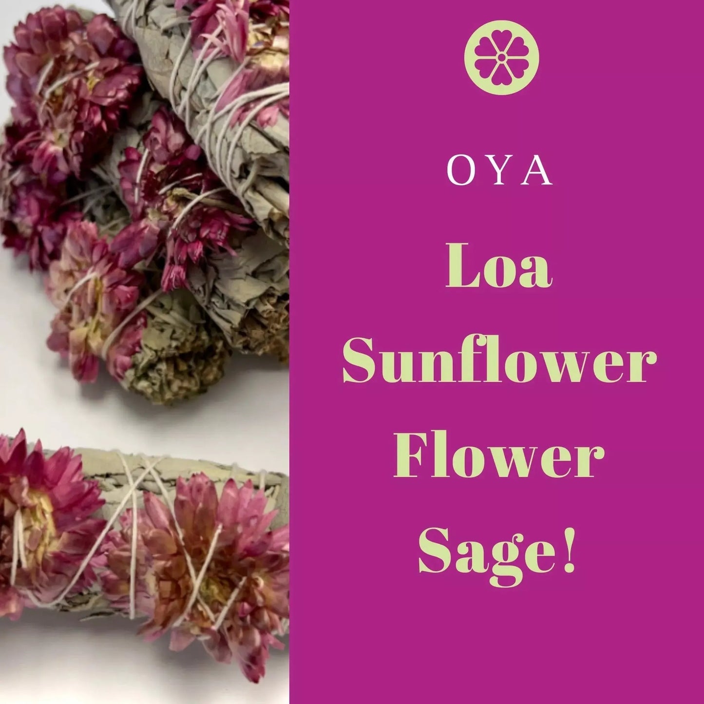 Oya Loa Sunflower Sage - Godiva Oya Bey