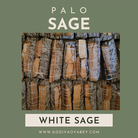 White Sage Palo Sage - Godiva Oya Bey